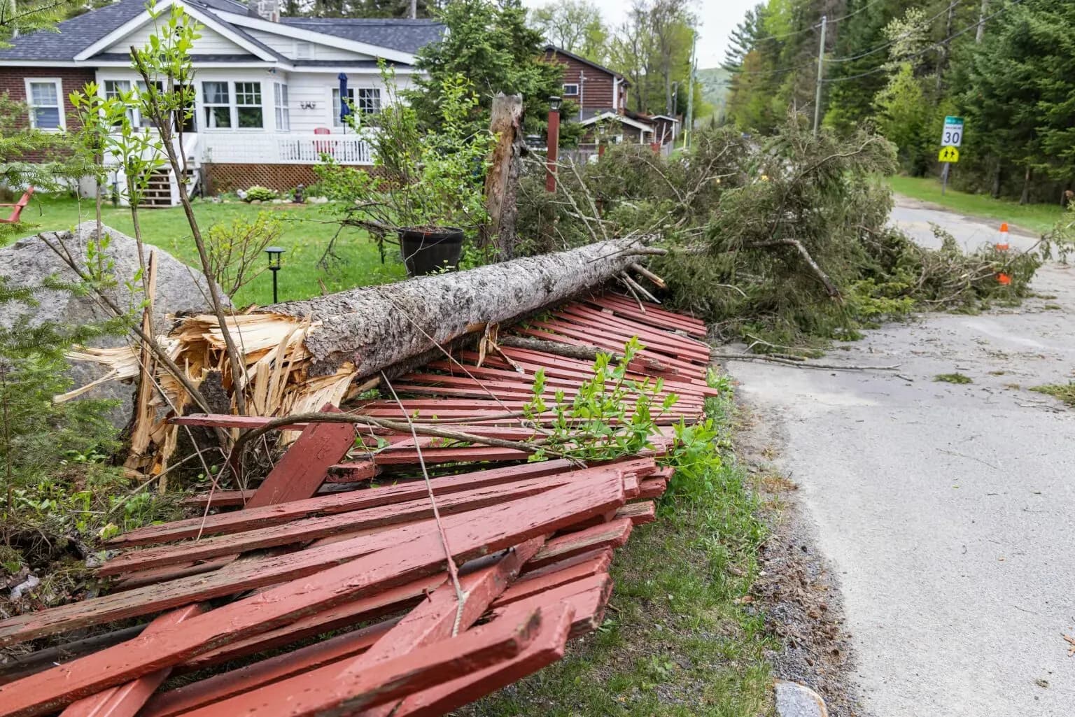 bigstock-A-Fallen-Pine-Tree-Is-Seen-Sev-455891211-min-1536x1025.webp