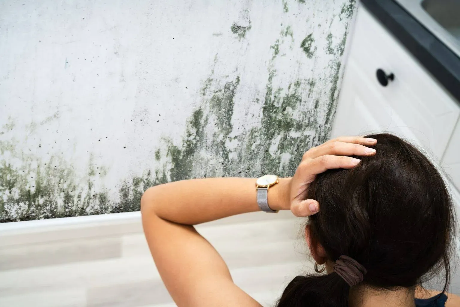 bigstock-Woman-Looking-At-Mold-Wall-Dam-370967800-min-1536x1024.webp