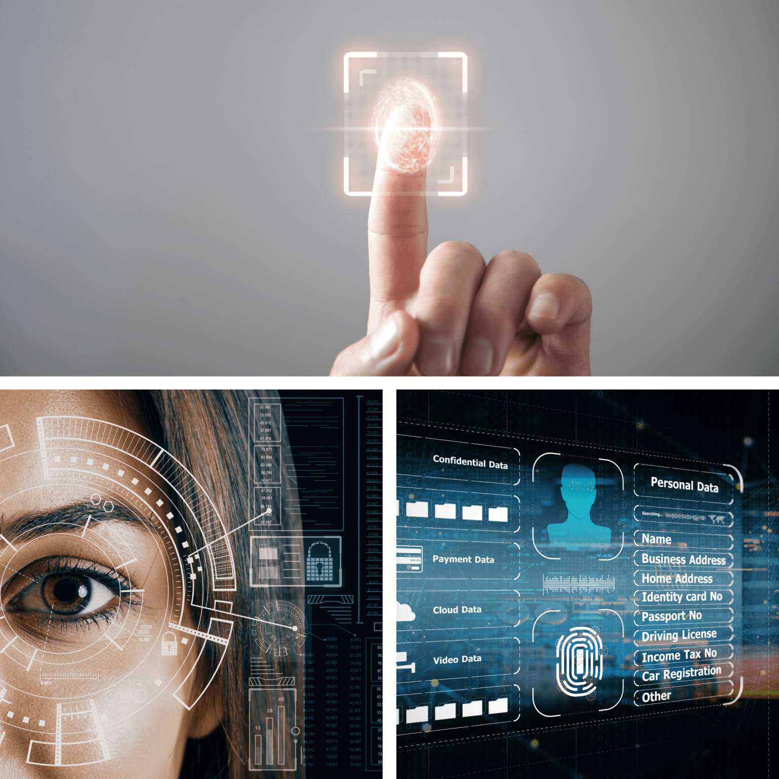 Illinois-Privacy-and-Biometric-Protection