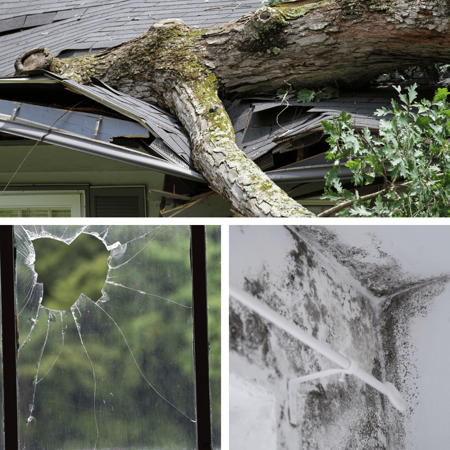 Property-Loss-and-Damage