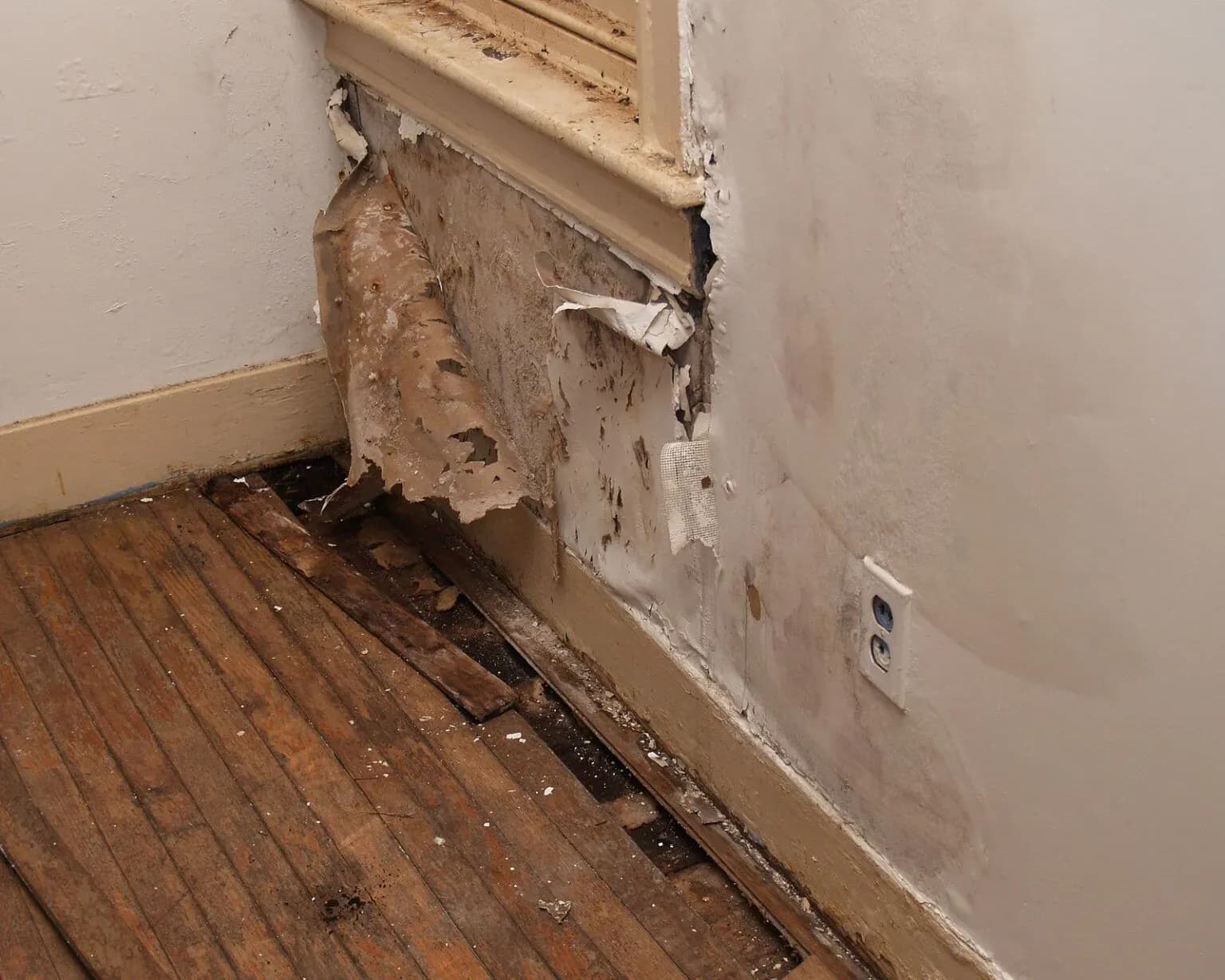 water-damaged-interior-wall-1536x1229.webp
